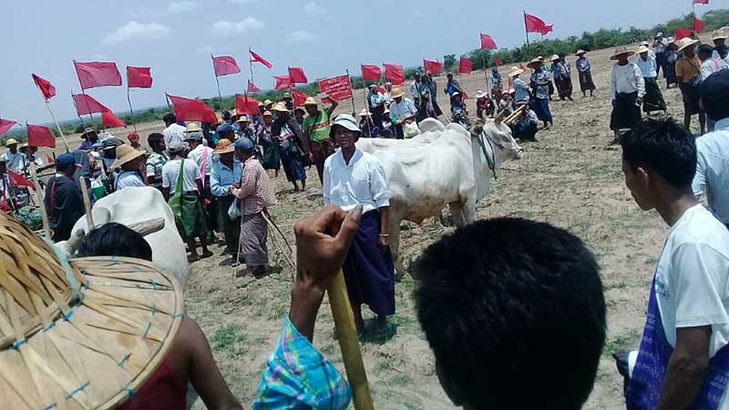 သီးစားခ်ထားသည့္ေျမ စြန္႔လႊတ္ေပးရန္ ၀မ္းတြင္းေတာင္သူမ်ား ဆႏၵျပ