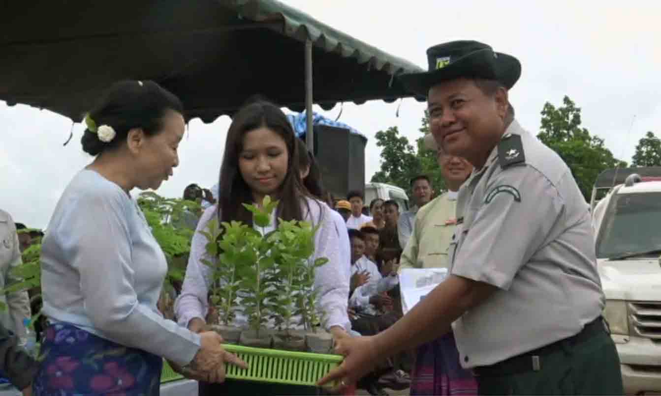 ကရင္ျပည္နယ္ သစ္ေတာပုိင္နယ္ေျမအတြင္း က်ဴးေက်ာ္ေျမမ်ားကုိ ရွင္းလင္းၿပီး သစ္ပင္စုိက္