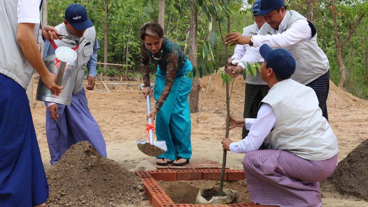 လေရာင္ေတာတြင္ က့ံေကာ္ပင္စိုက္ပ်ိဳးခဲ့တဲ့ ေဒၚေအာင္ဆန္းစုၾကည္ (ဓာတ္ပံု)