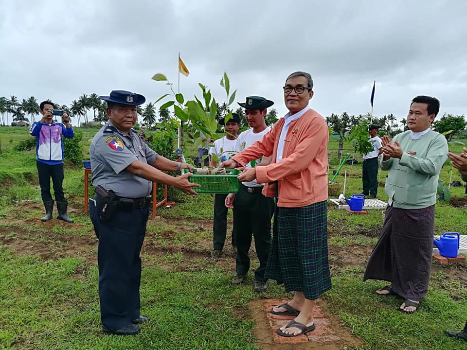 ေဒၚေအာင္ဆန္းစုၾကည္ေမြးေန႔ အထိမ္းအမွတ္ ရခိုင္ျပည္နယ္တြင္ သစ္ပင္စိုက္ပြဲက်င္းပ
