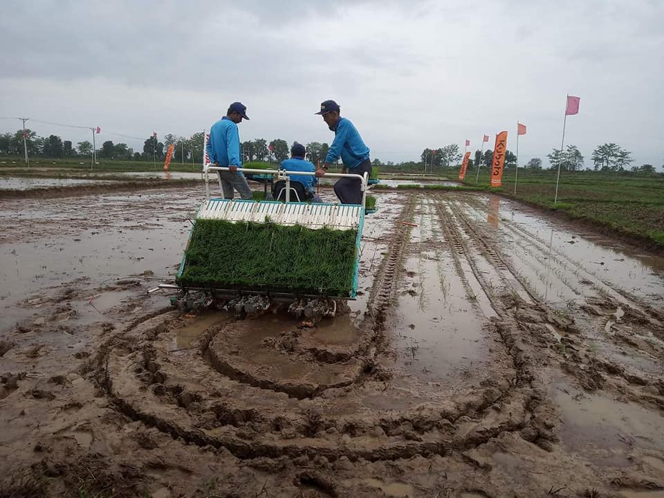 ဧရာဝတီတိုင္းအတြင္း  စက္ကရိယာအသံုးျပဳၿပီး လယ္ယာလုပ္ကိုင္မႈ တိုးတက္လာ