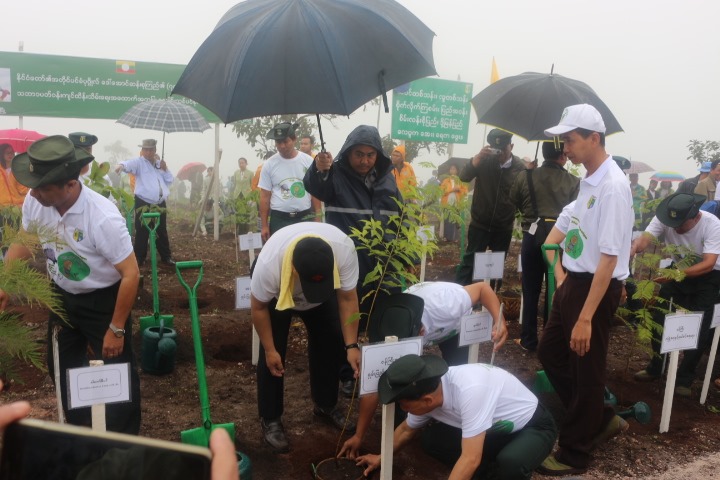မိုးရာသီ သစ္ပင္စိုက္ပ်ိဳးလိုသူမ်ားအတြက္ ပ်ဳိးပင္ ၁၀ သန္းေက်ာ္ အခမဲ့ျဖန္႔ေဝေပးမည္
