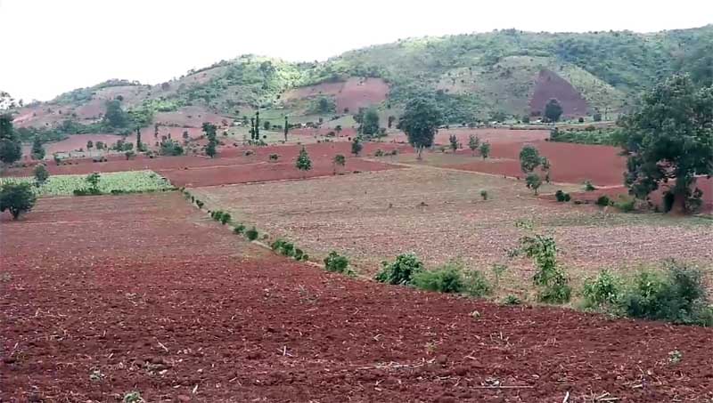မိုးေခါင္သျဖင့္ ေတာင္ႀကီးၿမိဳ႕နယ္ သရက္ပင္လွ ေတာင္သူမ်ား အခက္ႀကံဳ
