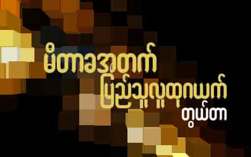 မီတာခအတက္ ျပည္သူလူထုဂယက္ (သတင္းေဆာင္းပါး)
