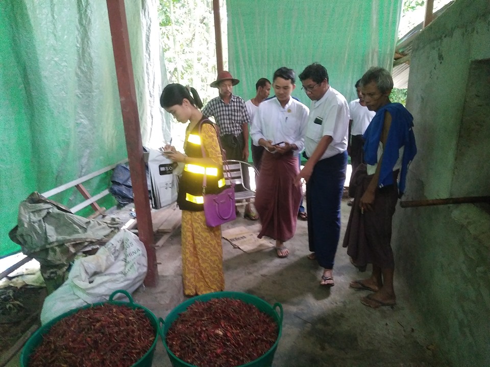 သထံုၿမိဳ႕တြင္ တရားမ၀င္ ငရုတ္္သီးအမႈန္႔ႀကိတ္လုပ္ငန္းကို အက္ဖ္ဒီေအ၀င္စစ္