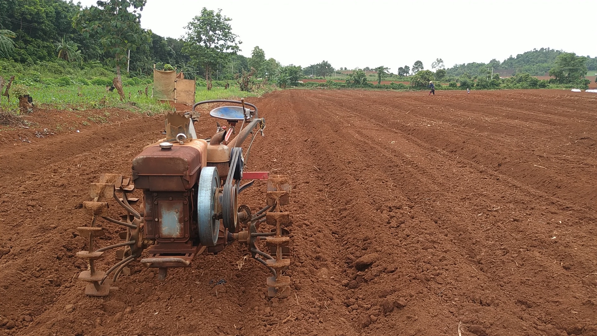 တ႐ုတ္ႏိုင္ငံသားမ်ား၏ တရားမဝင္ဖရဲစိုက္ပ်ိဳးေနမႈကို စိစစ္ရန္တိုက္တြန္း 