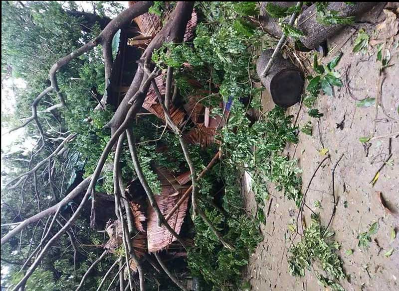 ဧရာဝတီတိုင်းအတွင်း လေပြင်းကြောင့် နေအိမ်နှင့် စာသင်ကျောင်းအချို့ ပျက်စီး