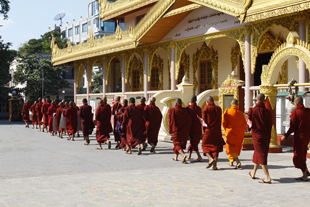 မုံ႐ြာသံဃာေတာ္မ်ား ေမတၱာပို့လမ္းေလွ်ာက္