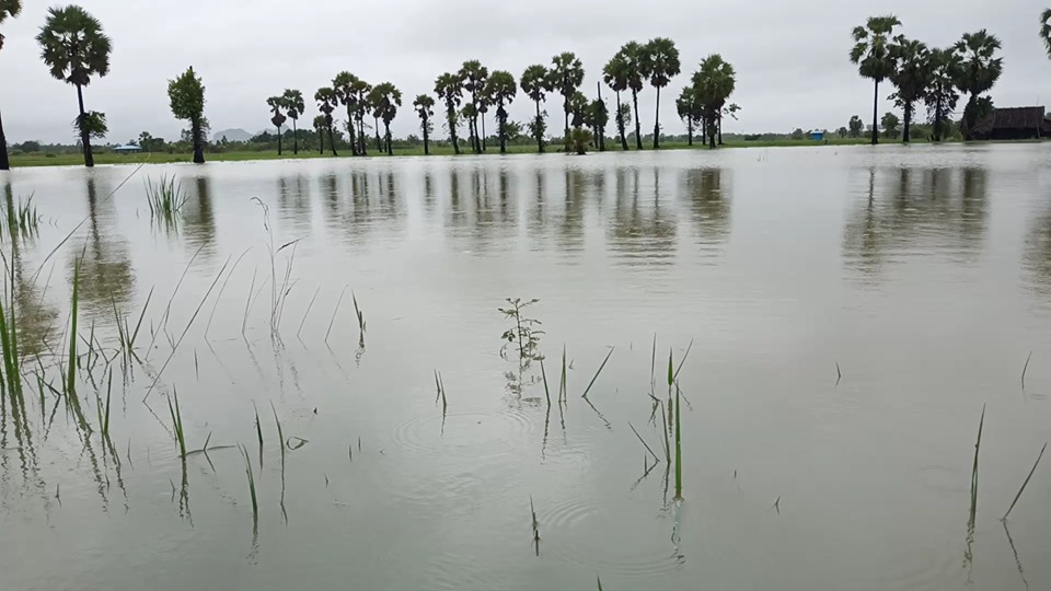 ကရင်ပြည်နယ်တွင် မိုးစပါး ဧက ၉၀၀၀ ခန့် ရေလွှမ်းမိုးခံရ