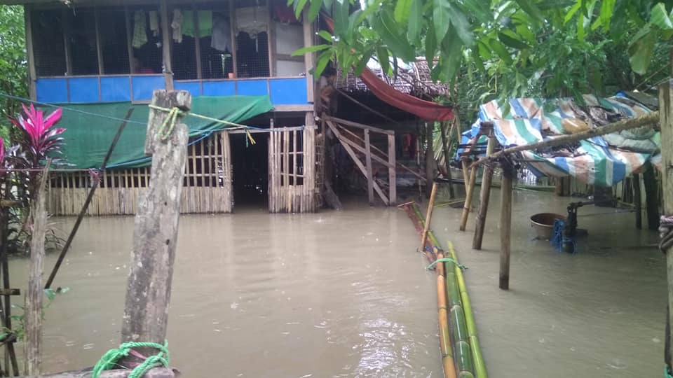 ဖလုံရွာမကျေးရွာတွင် တောင်ကျရေကြောင့်  နေအိမ်နှင့်စပါးခင်းများ ရေနစ်မြုပ်