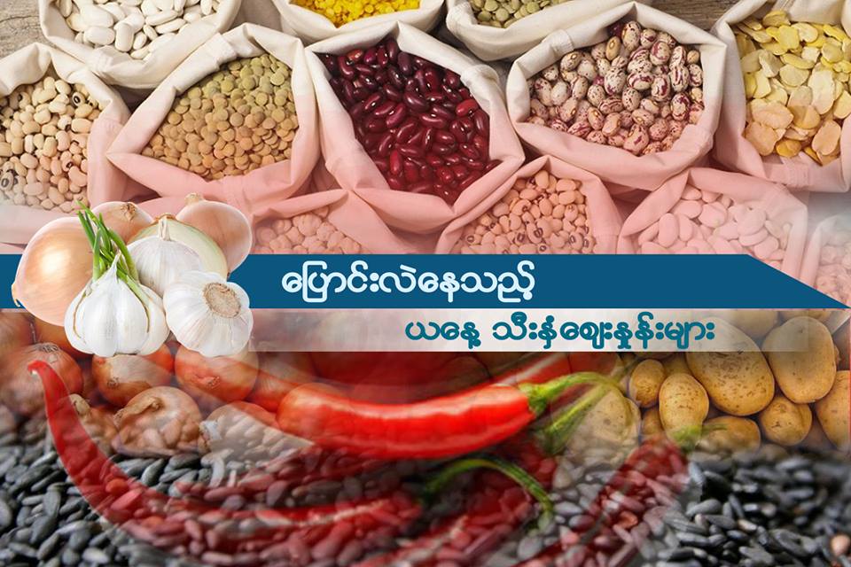 ပြောင်းလဲနေသည့် ယနေ့သီးနှံဈေးနှုန်းများ