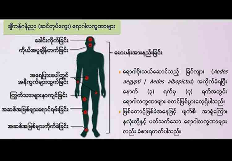 ဆင်တုပ်ကွေးရောဂါကြောင့် ဖားကန့်တွင် မူလတန်းကျောင်းအချို့ပိတ်ထား