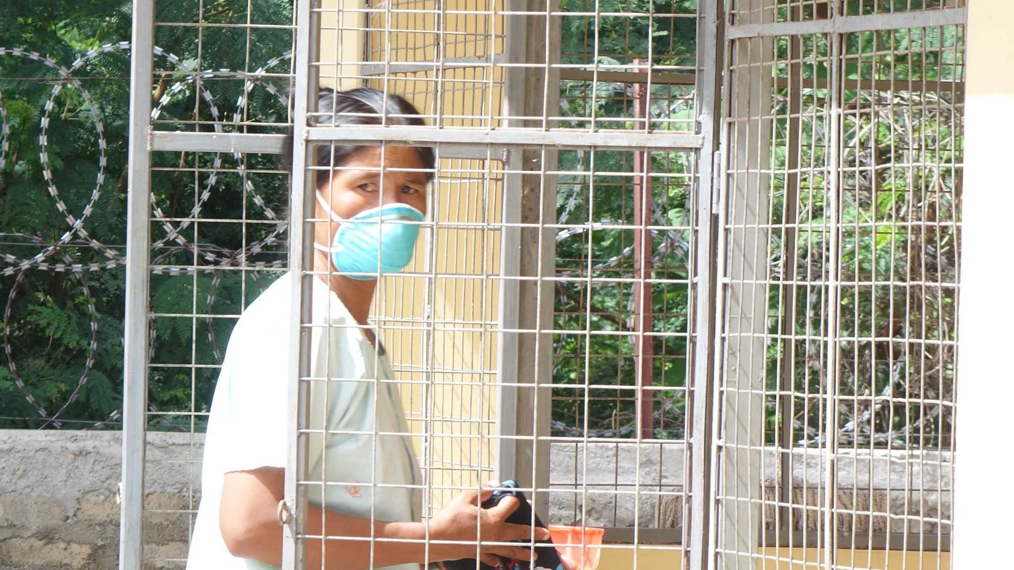 ရာသီတုပ်ကွေး H1N1 ဖြစ်ပွားနှုန်းနှင့် သေဆုံးနှုန်း လျော့ကျသွား
