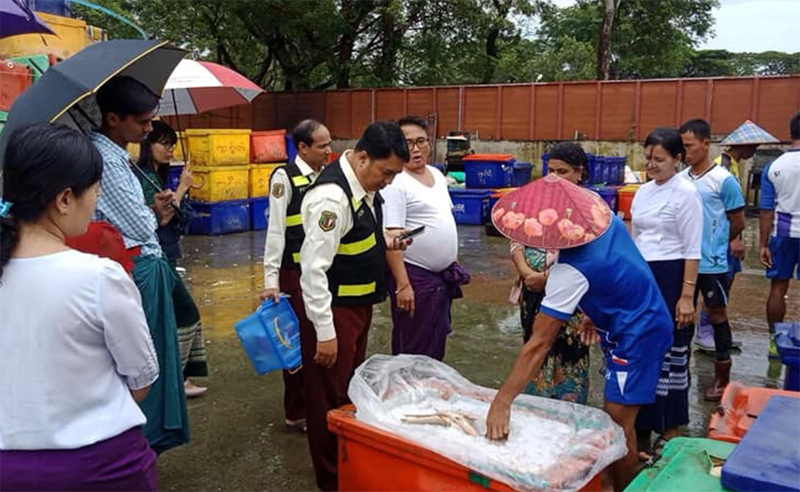 မော်လမြိုင် ကျောက်မီးသွေးရုံ ငါး၊ ပုစွန်ဈေးတွင် ဖော်မလင်သုံး ငါးနှပ်များတွေ့ရှိ၊ ထပ်မံသုံးစွဲပါက အရေးယူမည်