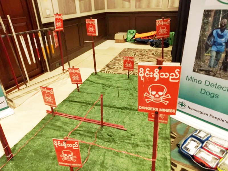 နိုင်ငံတကာငြိမ်းချမ်းရေးနေ့ အထိမ်းအမှတ် ဓာတ်ပုံပြခန်း