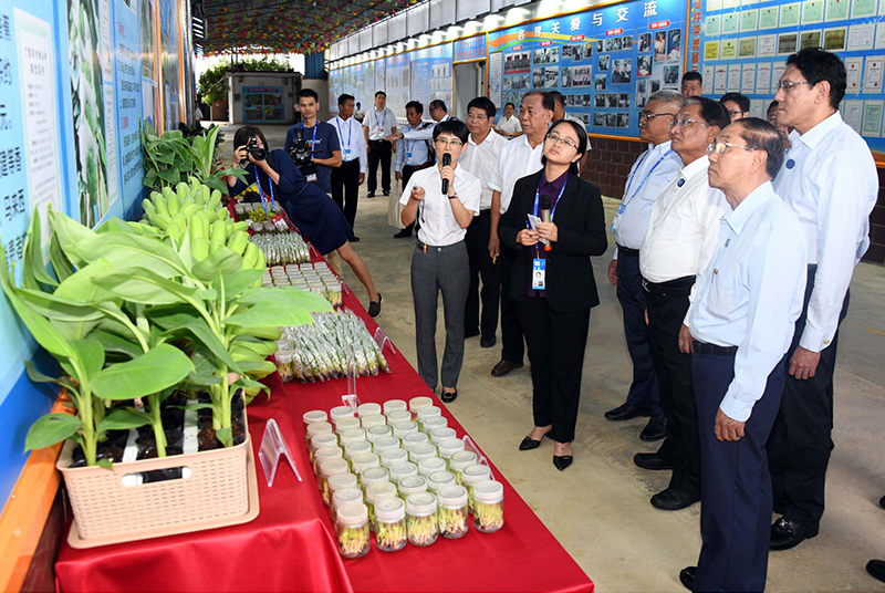 နိုင်ငံတကာရင်းနှီးမြှုပ်နှံသူများအတွက် အခွင့်အလမ်းသစ်များ ဖန်တီးပေးနေဟု  ဒုသမ္မတပြော