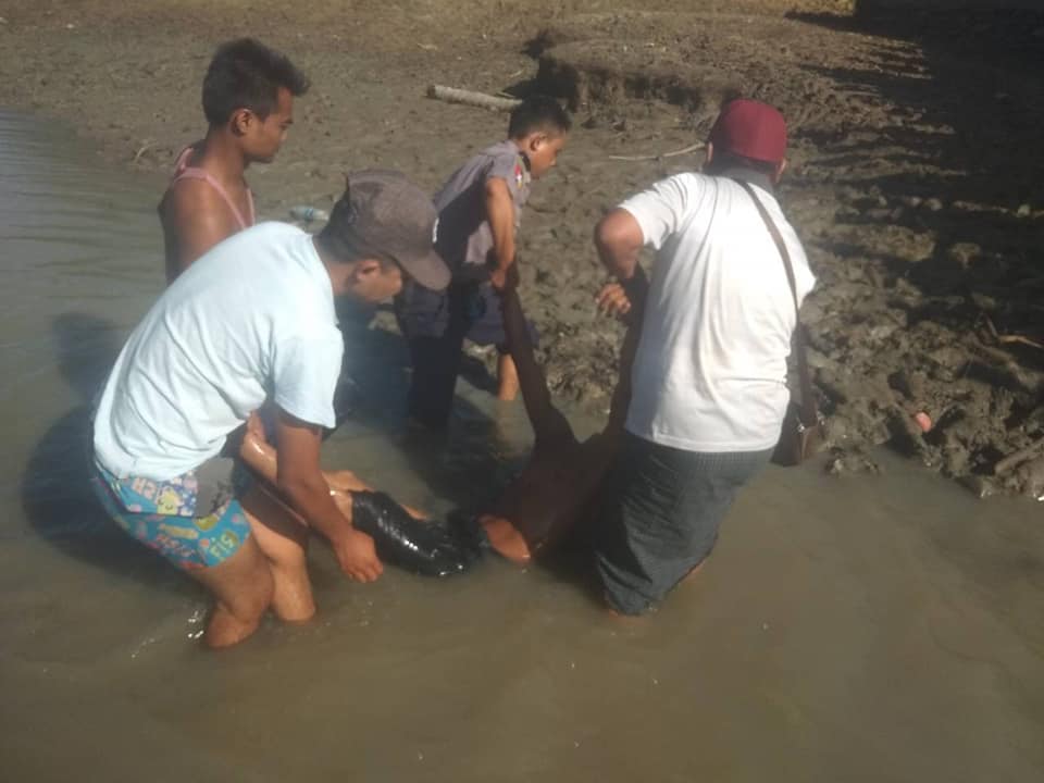 ပေါင်းတလည်တွင် ဘက်ထရီကျင်စက်ဖြင့် လျှော့တိုက်ငါးဖမ်းသူ ဓာတ်လိုက်သေဆုံး