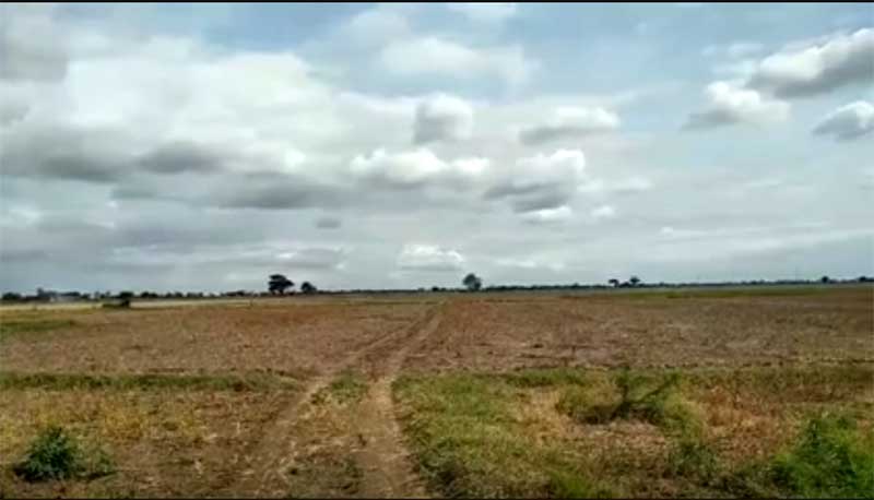 ရခိုင်ပြည်နယ်တွင် စပါးမစိုက်ပျိုးနိုင်သည့် လယ်ဧက ၂ သိန်းဝန်းကျင်ရှိနေ
