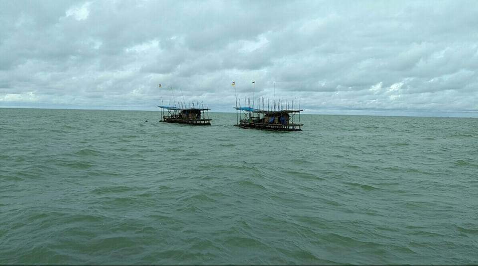 ဖျာပုံခရိုင် ပင်လယ်ပြင်လုပ်ငန်းခွင်၌  ကျားဖောင်ဦးစီးကို ရေလုပ်သားက ငါးခွဲဓားဝိုင်းဖြင့် ထိုးသတ်
