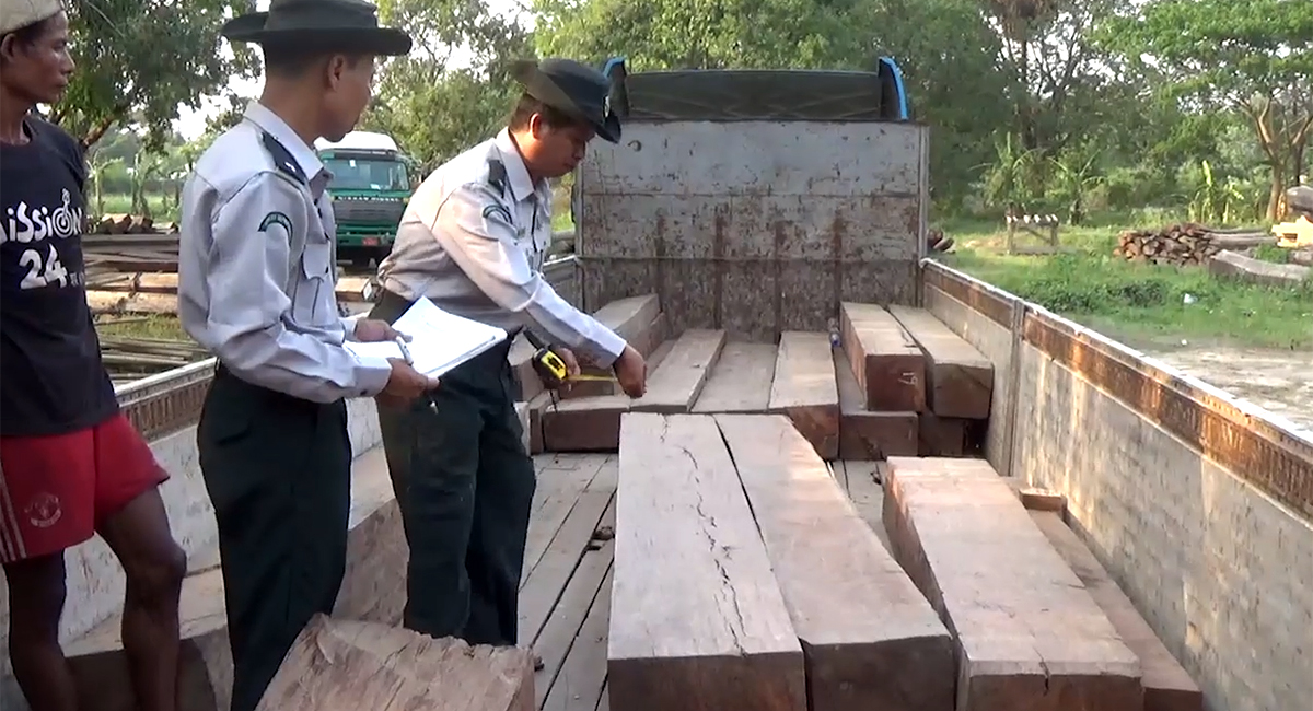 ပဲခူးရိုးမတွင် သစ်ခိုးခုတ်သူများ ပိုများလာဟု လွှတ်တော်ကိုယ်စားလှယ်ပြော