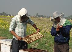 နီေပါ ေမာ္၀ါဒီသူပုန္ေတြရဲ့ ဘ၀တဆစ္ခ်ဳိး