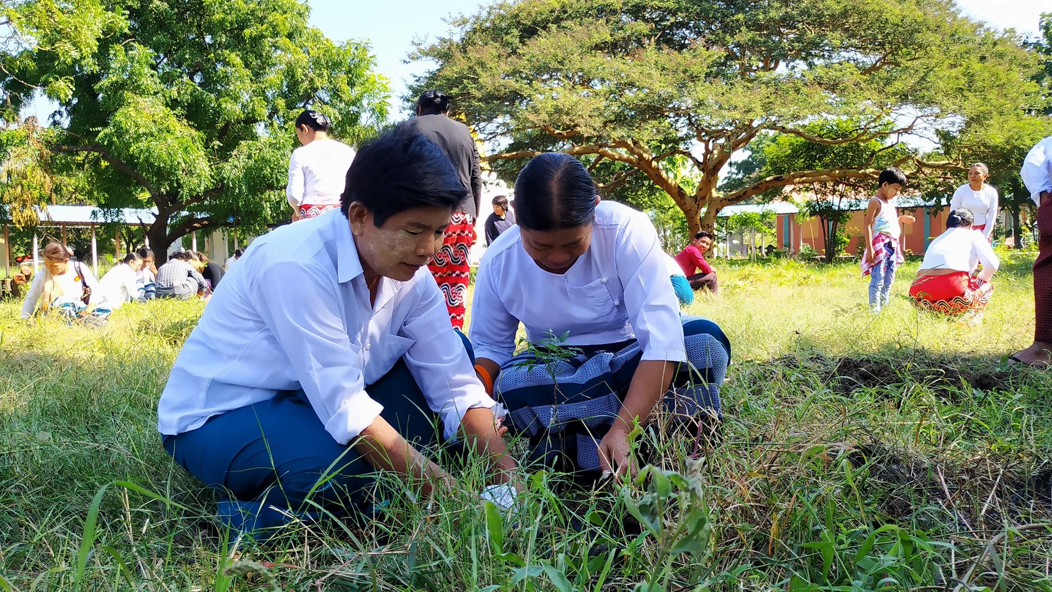 သေဆုံးသွားသည့် LGBT များအတွက် အောက်မေ့ဖွယ် တမာပင်များစိုက်ပျိုး