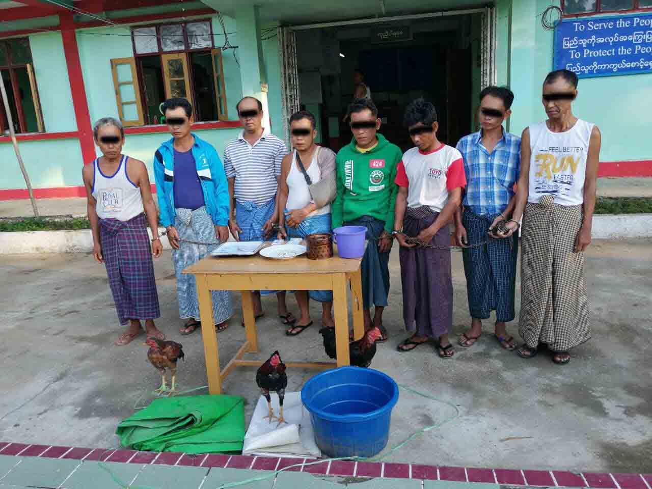 ပန်းတောင်းမြို့နယ်တွင် လေးကောင်ဂျင်ဝိုင်းနှင့် ကြက်ဝိုင်းကို ဝင်ရောက်ဖမ်းဆီး 