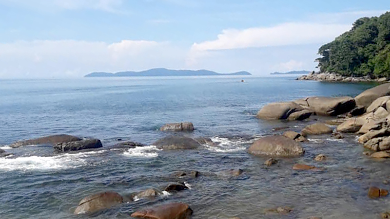 တနင်္သာရီတိုင်း ဘတ်ဂျက် ခရီးသွားလုပ်ငန်း ဖွံ့ဖြိုးတိုးတက်ရေးအတွက် ဦးစားပေးသုံးမည် 