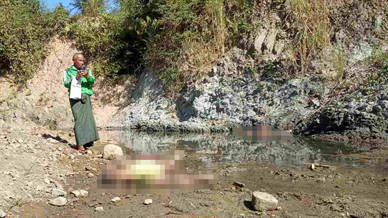 ကျောက်တံခါးမြို့နယ်တွင် ဆင်နင်း၍ ဆင်ဦးစီး ၂ ဦး သေဆုံး