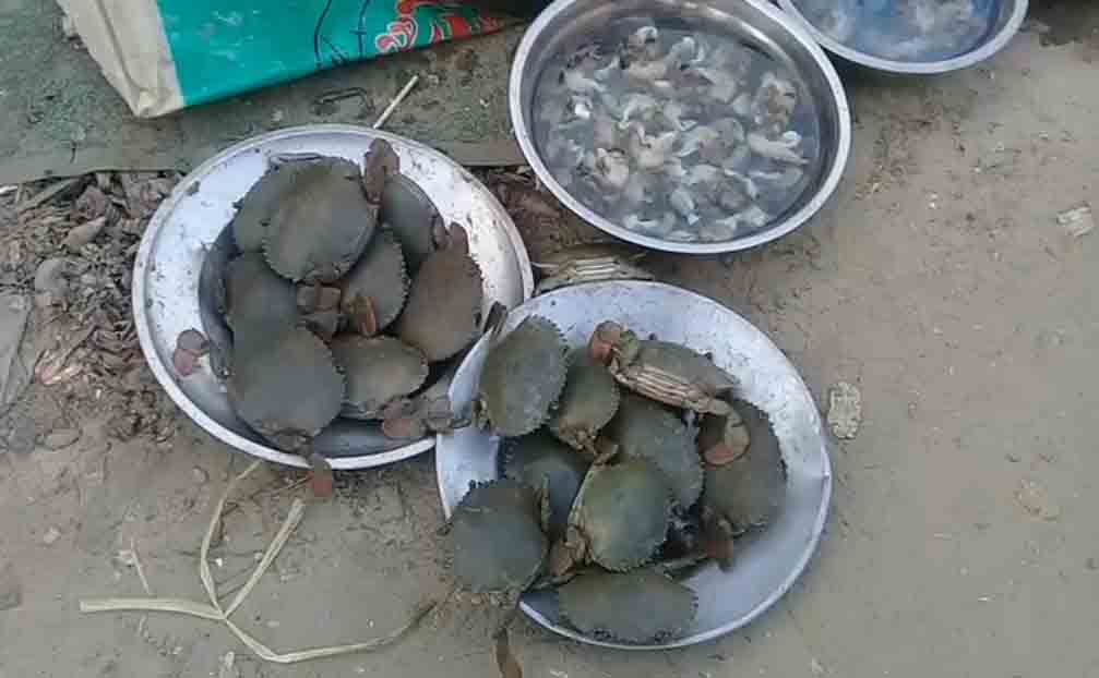 တရုတ်ဘက် တင်ပို့မရသဖြင့် ဂဏန်းရှာဖွေအသက်မွေးနေသူများ အခက်တွေ့
