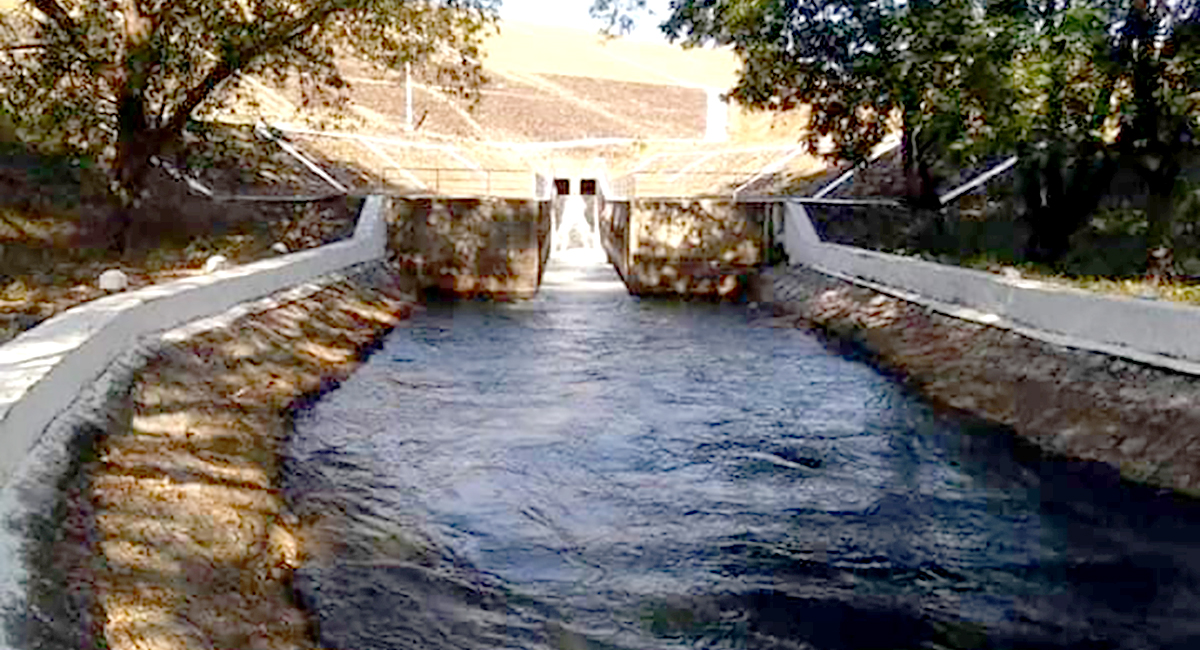 မကွေးတိုင်း ဆည်တမံ ၁၉ ခုမှ နွေစပါးနှင့်နွေသီးနှံ စိုက်ဧက ၁ သိန်းကျော်ကို ရေစတင်ပေးဝေ
