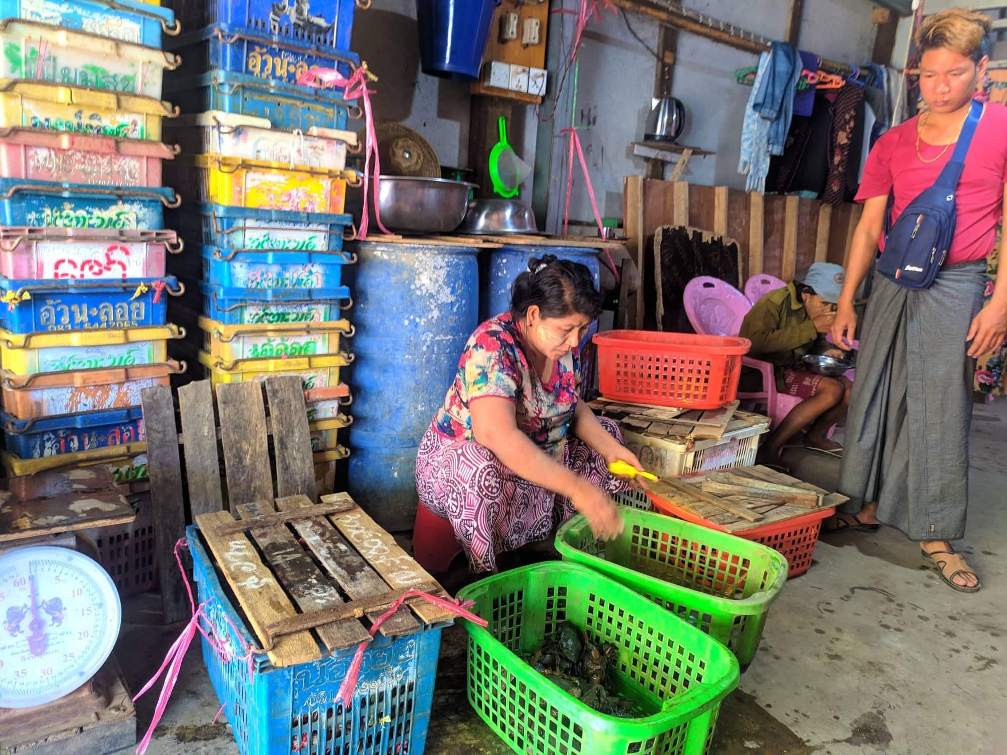 တရုတ်တင်ပို့သည့် ဧရာဝတီတိုင်းက ကဏန်းနှင့်ရေထွက်ကုန်လုပ်ငန်းများ ရပ်တန့်