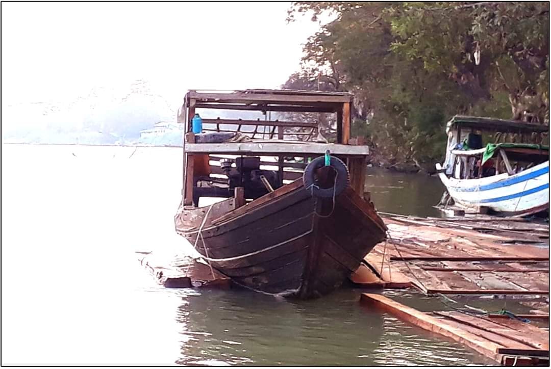 ပုသိမ်ခရိုင်၌ ၁ ပတ်အတွင်း ပိုင်ရှင်မဲ့သစ် ၄၄ တန် ကျော်နှင့် စက်လှေ ၂ စီးဖမ်းမိ