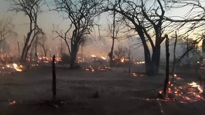 မင်းဘူး(စကု)မြို့နယ်တွင် တောမီးကတဆင့် မီးကူးဆက်လောင်၊ အိမ်ခြေ ၇၀ ခန့်ဆုံးရှုံး