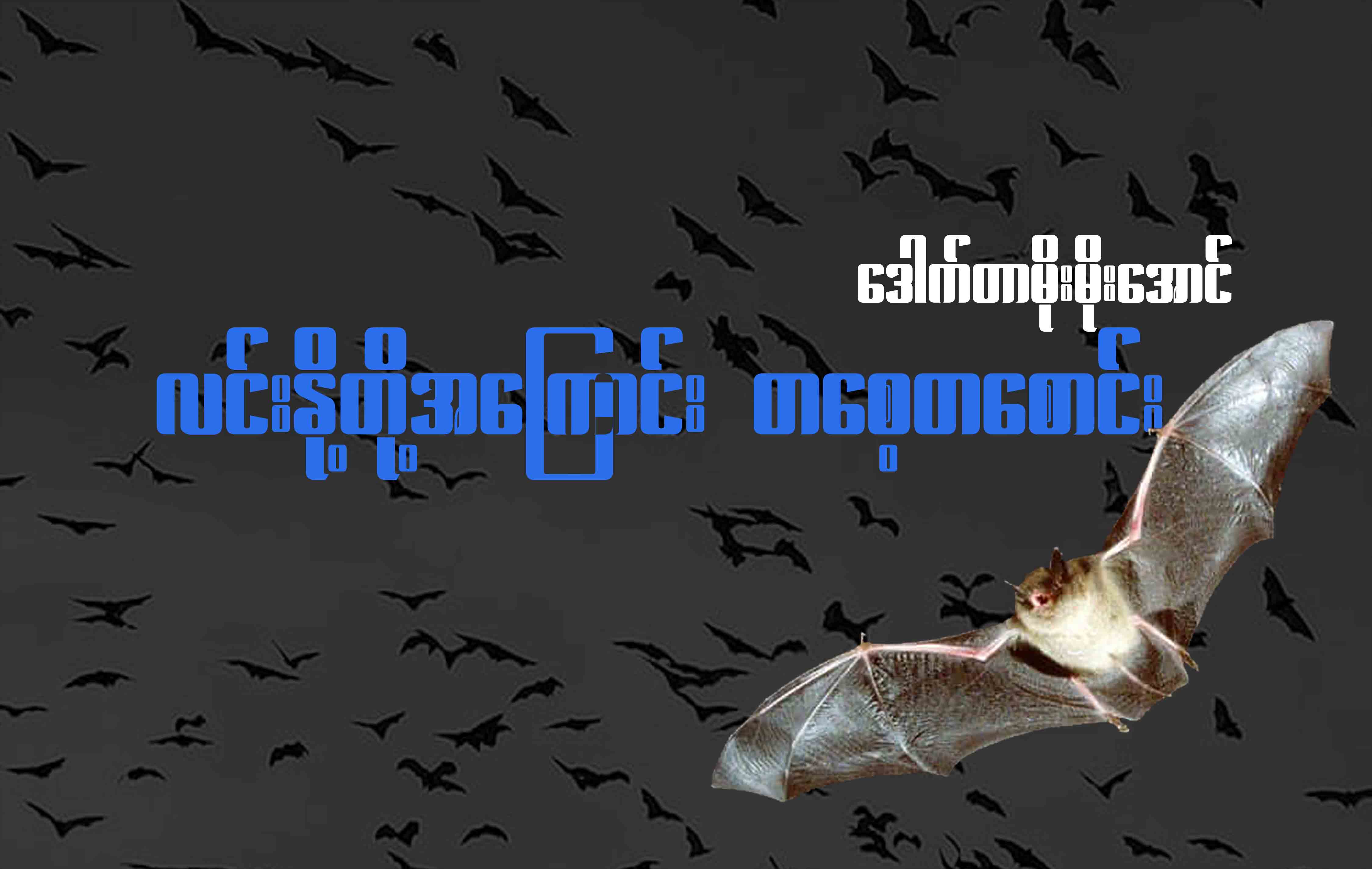 လင်းနို့တို့အကြောင်း တစေ့တစောင်း