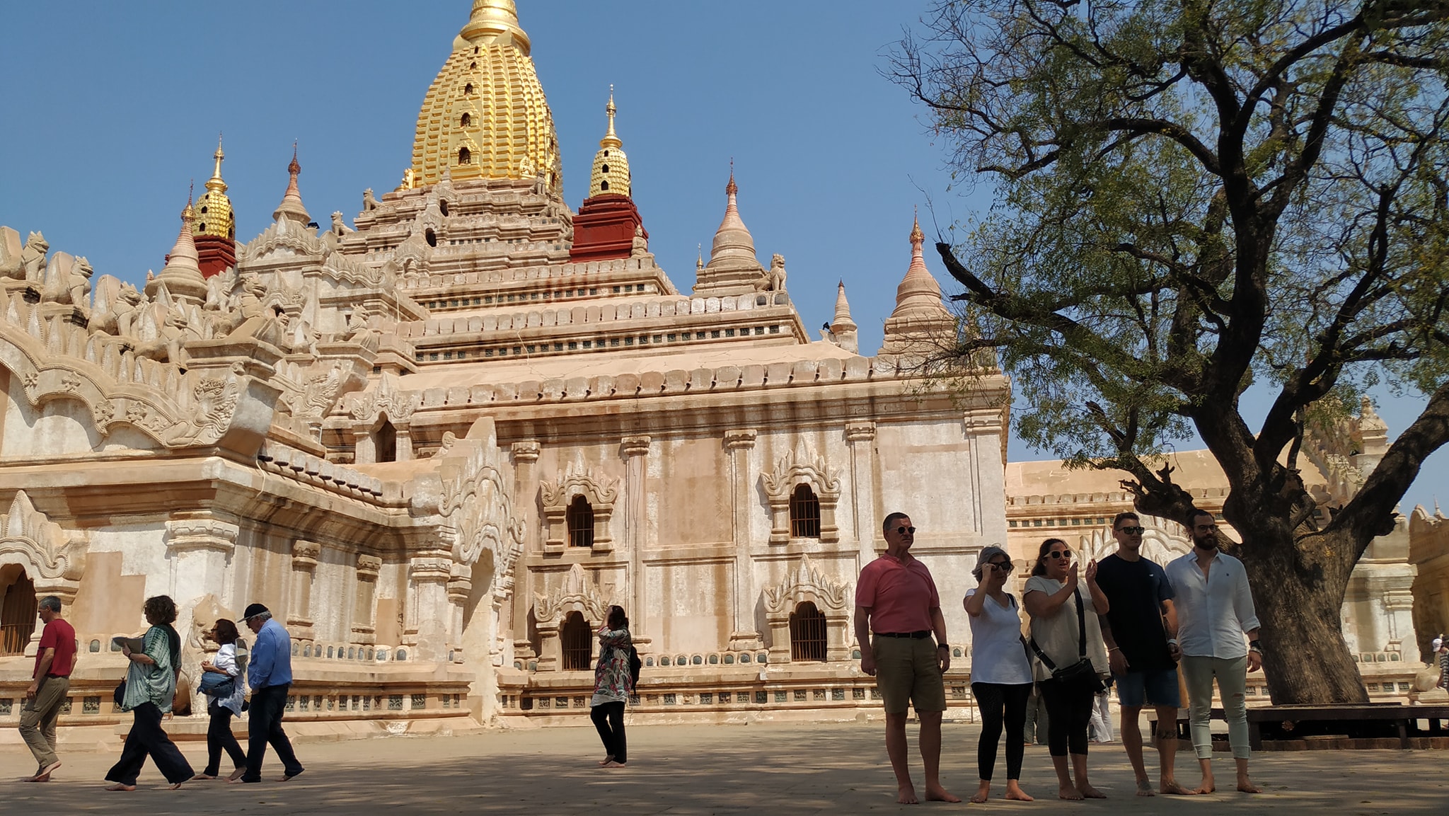 ခရီးသွားလုပ်ငန်းများ လုံးဝရပ်နားသွားတော့မည့် အခြေအနေရှိနေ 