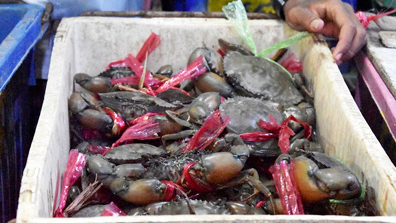 ကိုရိုနာဂယက်ကြောင့် လပွတ္တာက ကဏန်းလုပ်သားနှင့် မှီခိုသူ ၁ သိန်းကျော် ဒုက္ခရောက်နေ