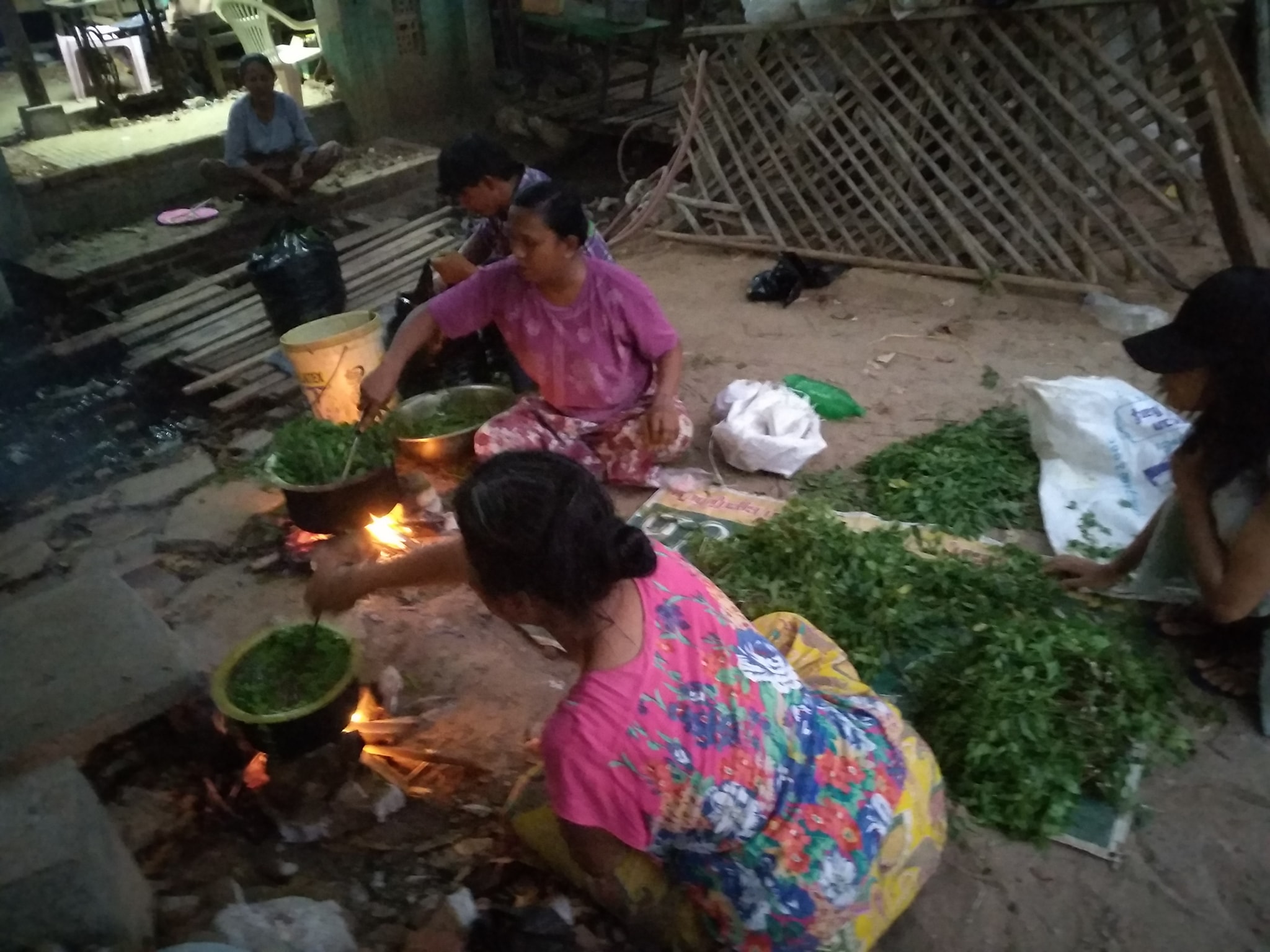 အညာဒေသက တမာရွက်ပြုတ်များ ရန်ကုန်စျေးကွက်တွင် အဝယ်များနေ