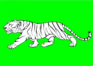 ႐ွမ္းပါတီမ်ား ပူးေပါင္းေရး က်ားျဖူပါတီ စတင္