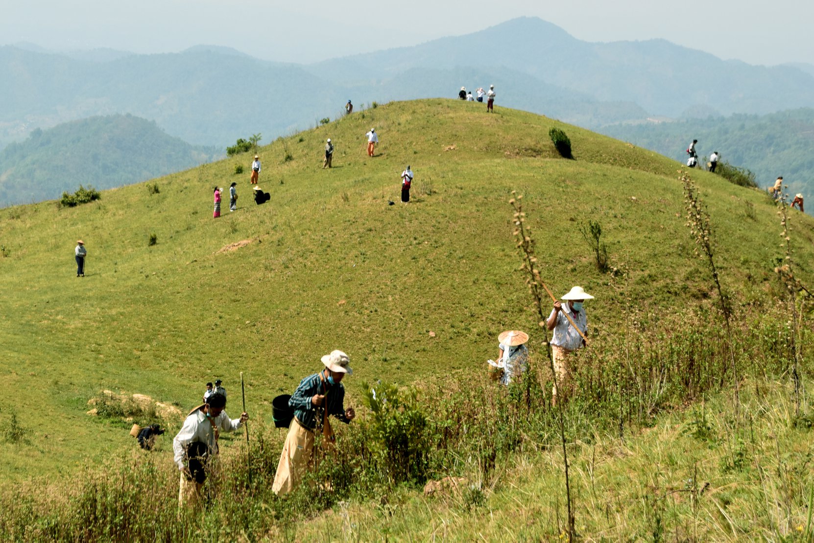 အင်းလေးကန်ရေဝေရေလဲဒေသ တောင်ကတုံးများတွင် သစ်စေ့မြေလုံးများ ဆူးထိုးစိုက်ပျိုး