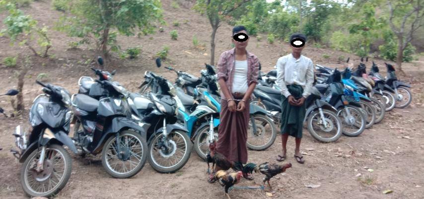 ကပ်ဘေးကာလ ပြည်မြို့နယ်တွင် ကြက်တိုက်လောင်းကစားဝိုင်းဖမ်းမိ 