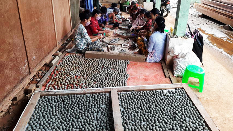 စစ်ကိုင်းတိုင်းအတွင်း သတ္တုတူးဖော်မှုကြောင့် သစ်ပင်မပေါက်သည့်နေရာများတွင် သစ်စေ့မြေလုံး ၆ သိန်း စိုက်မည်