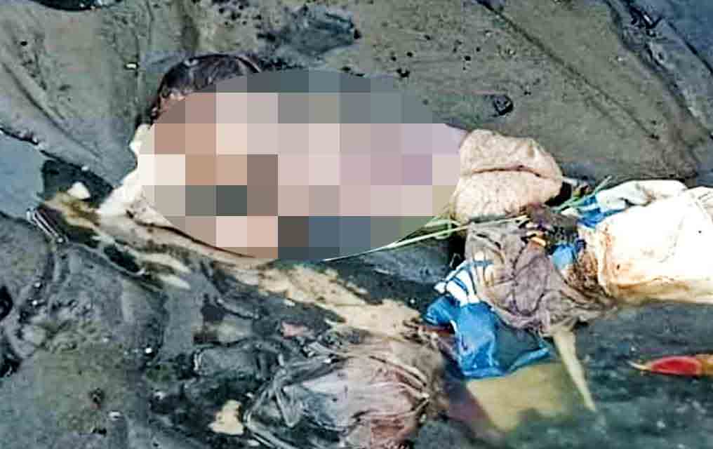 မိတ္ထီလာတွင် စွန့်ပစ်ခံထားရသည့် ၁၀ ရက်သားအရွယ် ကလေးငယ် အလောင်းတွေ့ရှိ