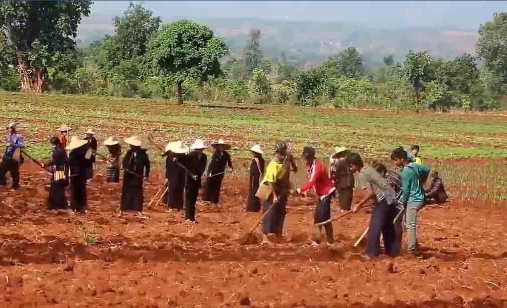 ဆီဆိုင်မြို့နယ်ရှိ တပ်သိမ်းမြေတွင် ထွန်တုံးတိုက်ပွဲဆင်နွှဲ 