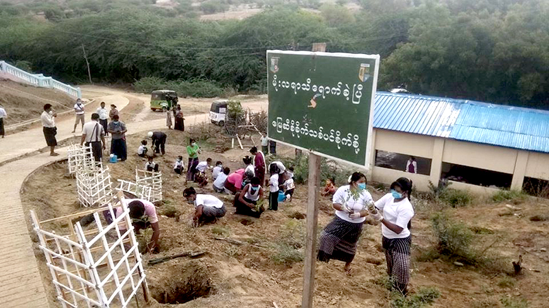 ချောက်မြို့နယ်တွင် ရွာလုံးကျွတ် သစ်ပင်စိုက်ပျိုး