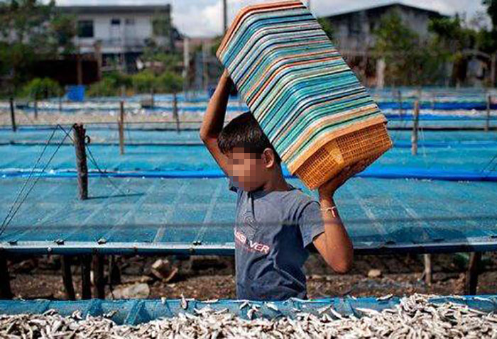ကလေးလုပ်သား ၆ သိန်းခန့် အန္တရာယ်ရှိ လုပ်ငန်းခွင်များတွင် လုပ်ကိုင်နေရ