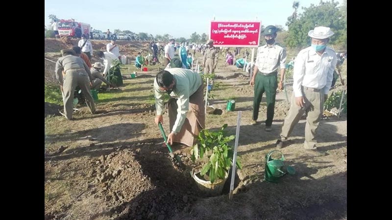 ဒေါ်အောင်ဆန်းစုကြည့်မွေးနေ့အထိမ်းအမှတ် စစ်ကိုင်းတိုင်းတွင် သစ်ပင်စိုက်ပျိုး