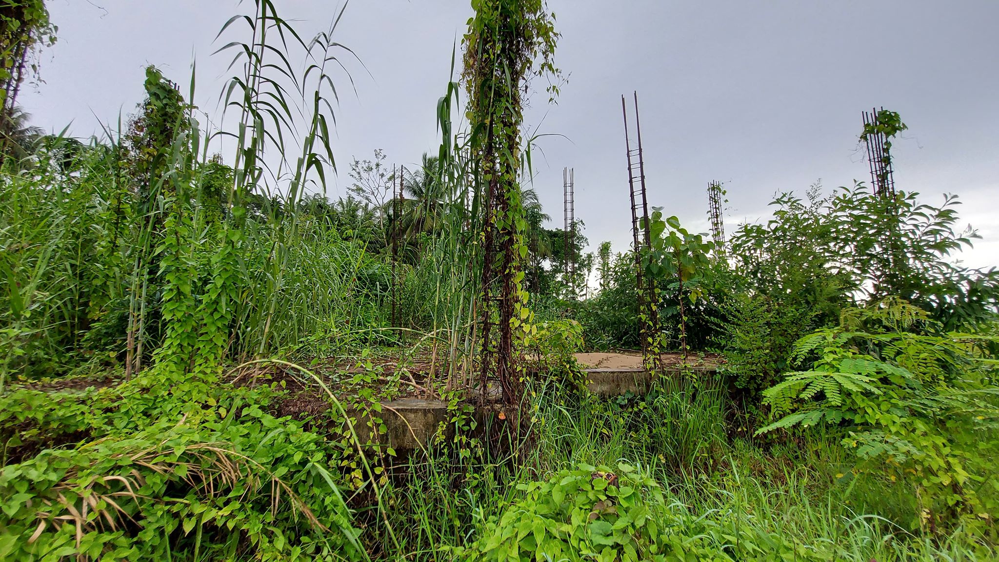 ၃ နှစ်ကျော်ကြာရပ်ထားသည့် ဖျာပုံမြို့ ကျေးလက်ကျန်းမာရေးဌာနခွဲ ပြန်ဆောက်ပေးရန် တောင်းဆို