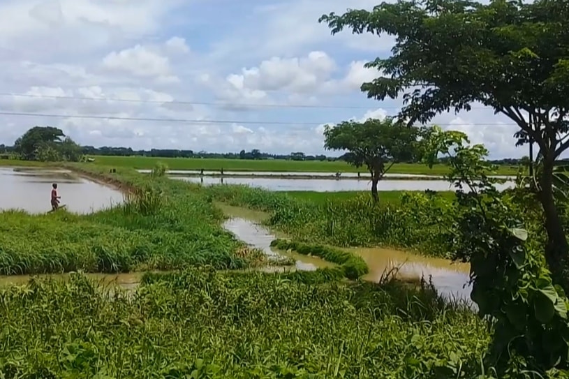 ဧရာဝတီတိုင်းတွင် မိုးဦးအကြိုကာလ မိုးကြိုးပစ်ခံရပြီး သေဆုံးသူ ၂၀ ရှိ၊ လယ်သမားအများစုဖြစ်