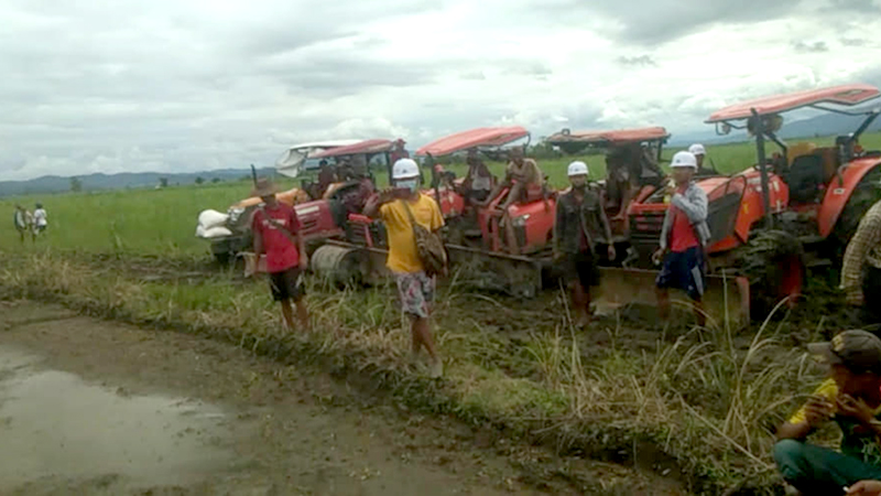 စိုက်ပျိုးစပါးဧက ၁၀၀ ကျော် ဖျက်ဆီးခံရသဖြင့် အင်းတော်ကြီး လယ်သမားများ တိုင်ကြား